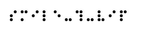 Logo in Braille Schrift